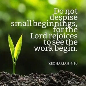 Don't Despise the Day of Small Things