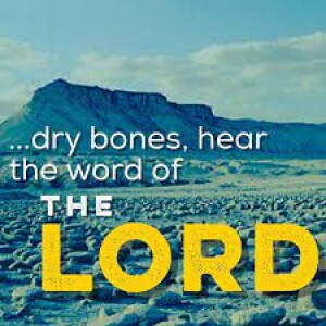 Dry Bones Hear the Word of the Lord