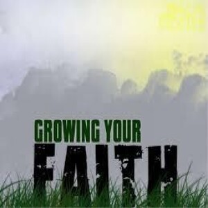 Growing Your Faith