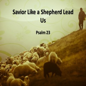 Savior, Like a Shepherd Lead Us