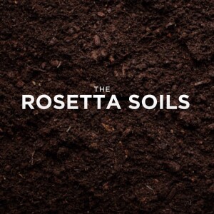 THE ROSETTA SOILS | Aaron Holbrough