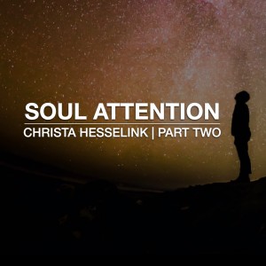 SOUL ATTENTION | TWO | Christa Hesselink