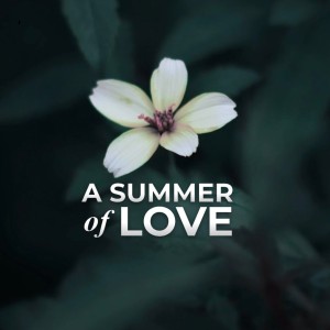 A SUMMER OF LOVE | Jan hux