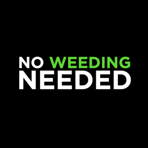 NO WEEDING NEEDED | Jan Hux