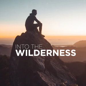 INTO THE WILDERNESS | Jan Hux