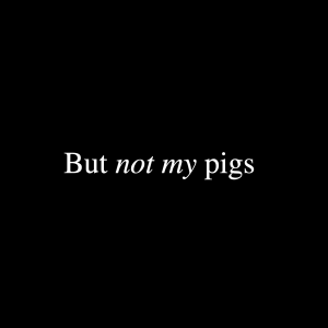 Not my pigs | Aaron Holbrough