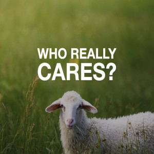 WHO REALLY CARES? | Aaron Holbrough