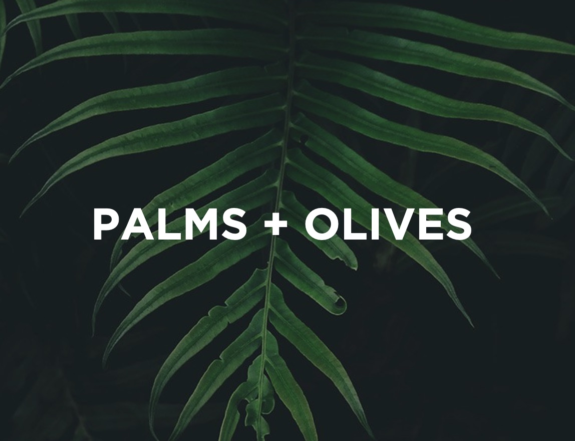 Palms + Olives | Aaron Holbrough