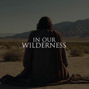 IN OUR WILDERNESS | Aaron Holbrough