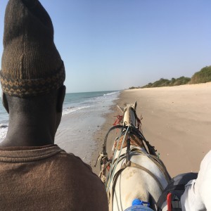 OPLEV: Senegal - sol, strand og safari, vinterferie med børn (2)