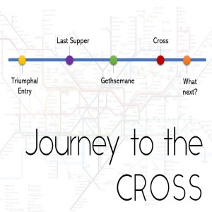 Journey to the Cross - Triumphal Entry (Allison)