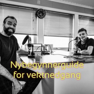 -e68 - Nybegynnerguide for vektnedgang