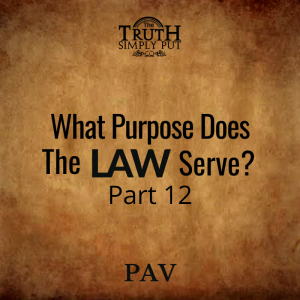 What Purpose Does The Law Serve? [Part 12] — Alexander ’PAV’ Victor