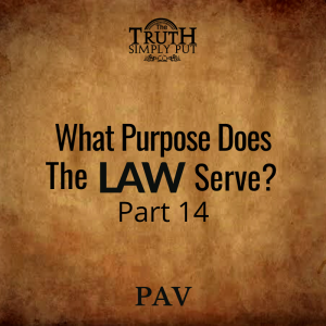 What Purpose Does The Law Serve? [Part 14] — Alexander ’PAV’ Victor