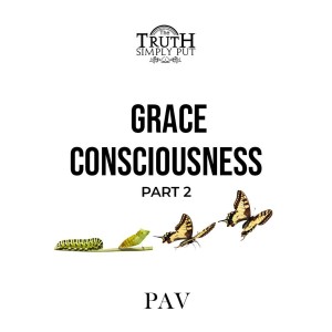 Grace Consciousness [Part 2] — Alexander ’PAV’ Victor