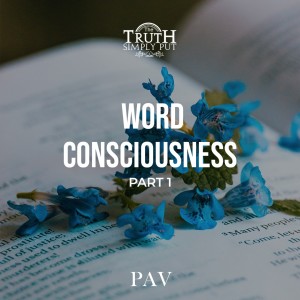 Word Consciousness [Part 1] — Alexander ’PAV’ Victor