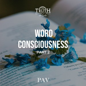 Word Consciousness [Part 2] — Alexander ’PAV’ Victor