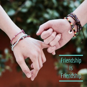028 - Friendship is Friendship