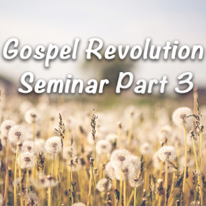 Gospel Revolution Seminar - Part 3
