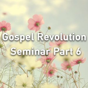 Gospel Revolution Seminar - Part 6
