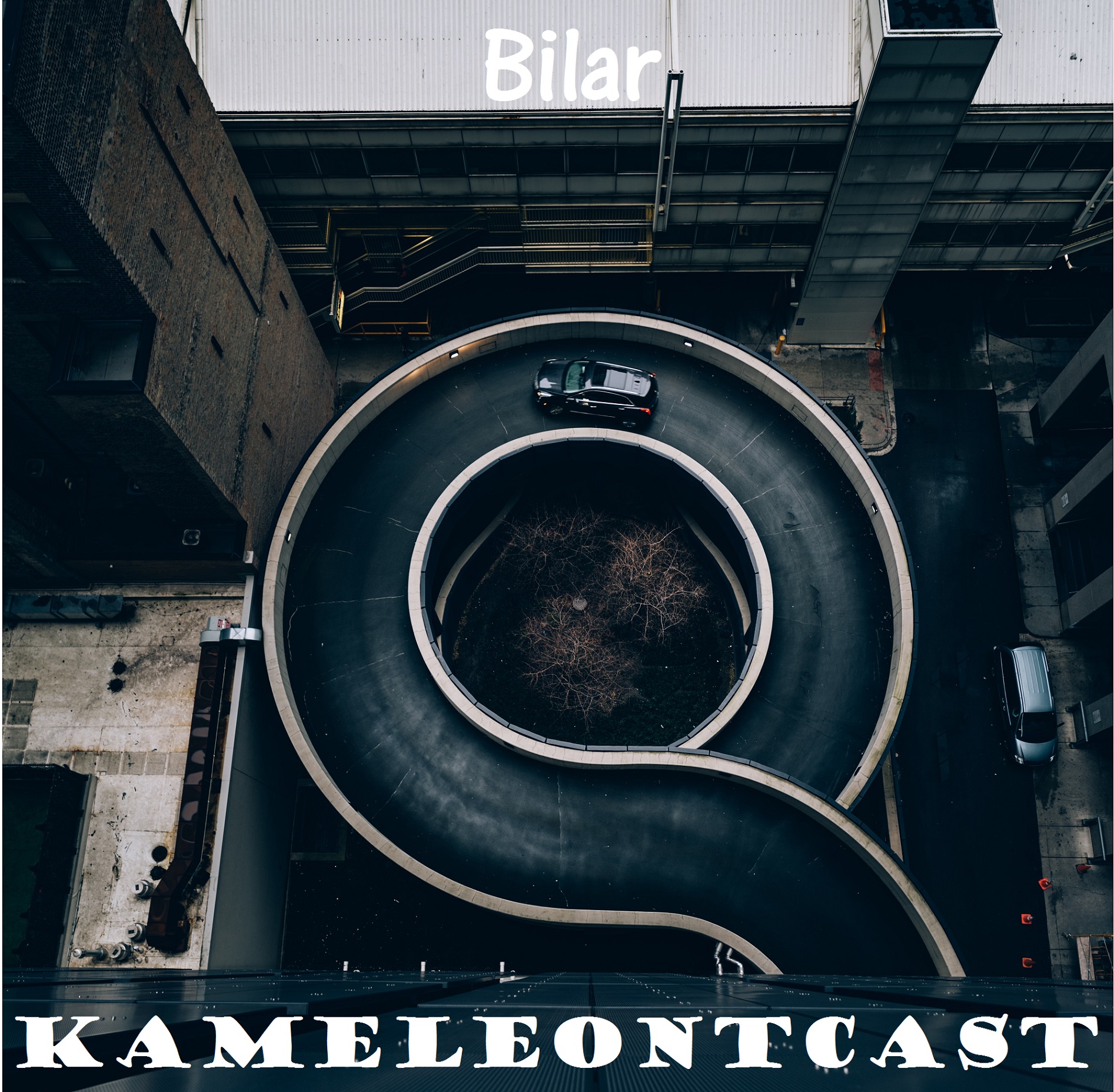 35. Bilar