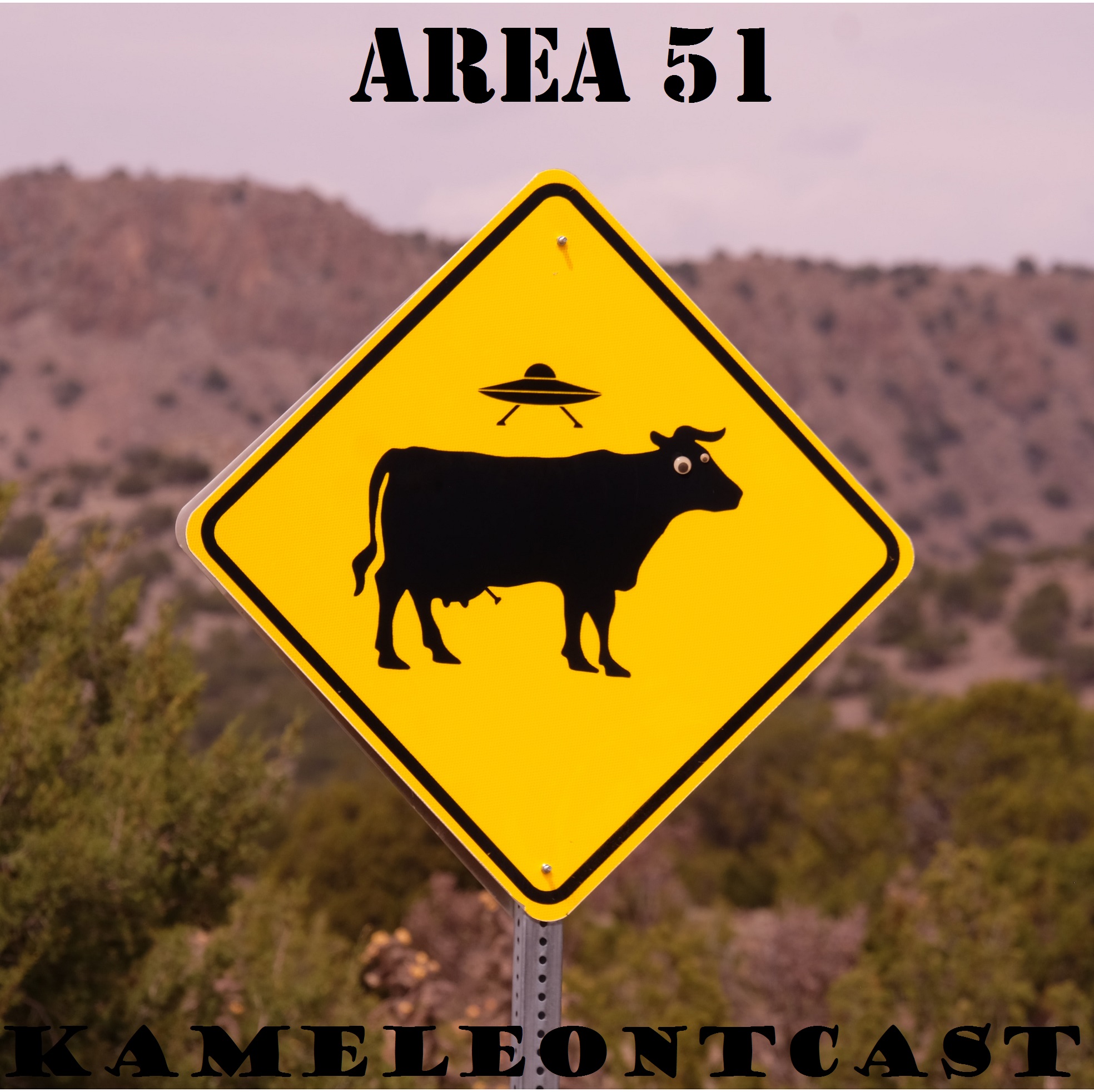 46. Area 51