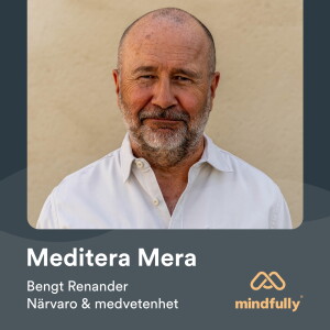 Bengt Renander - Om meditation, närvaro & medvetenhet