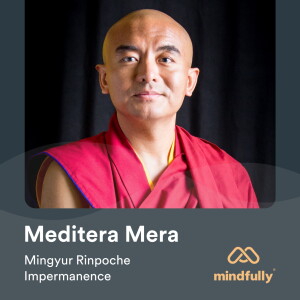 Mingyur Rinpoche - About meditation & impermanence