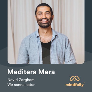 Navid Zargham - Om meditation och vår sanna natur