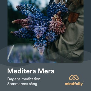 Dagens meditation: Sommarens sång