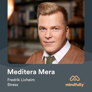 Fredrik Livheim - Om meditation och stress