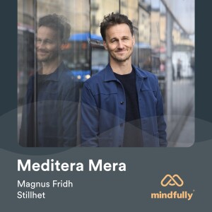 Magnus Fridh - Om meditation och stillhet