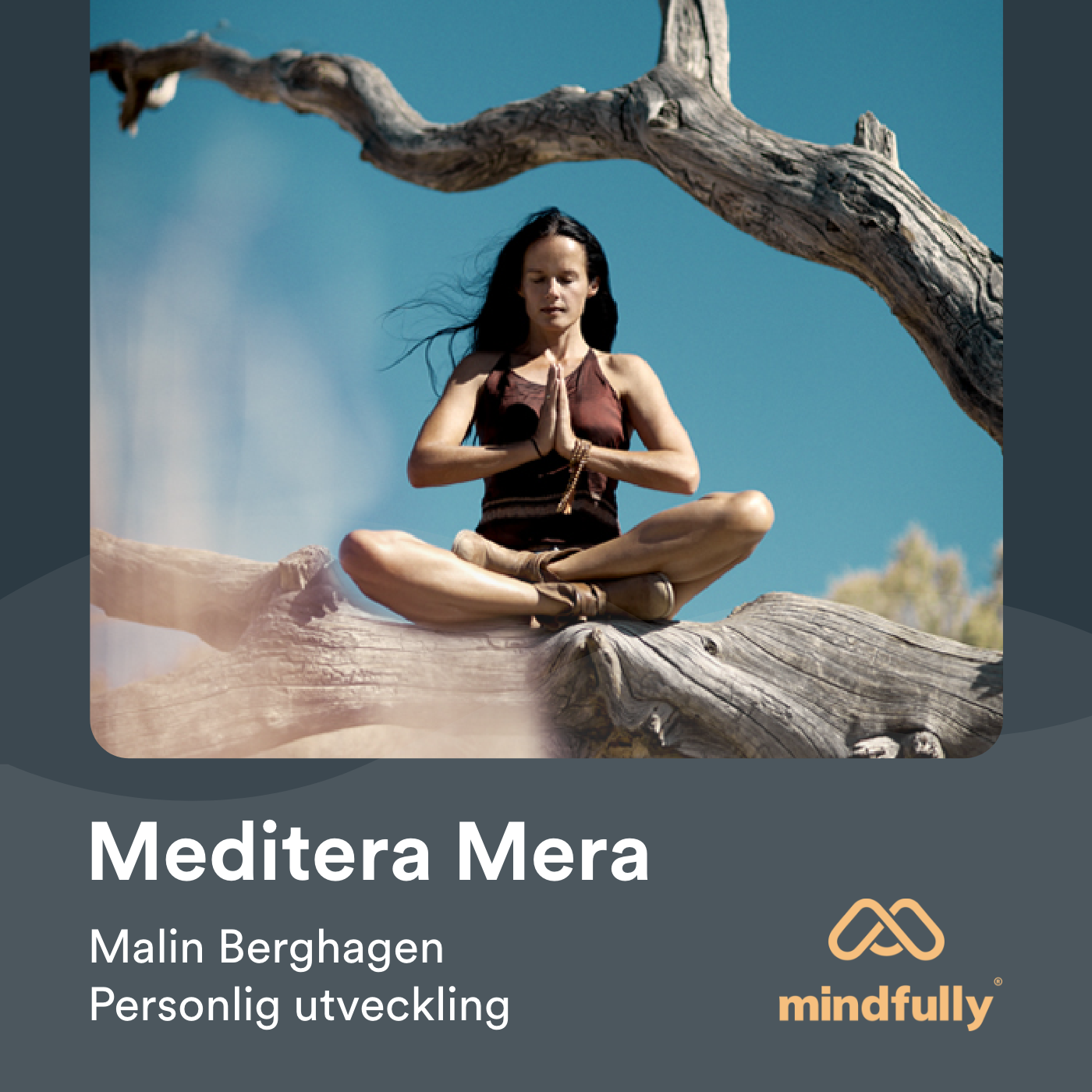 Meditera Mera - En podcast om meditation från Mindfully