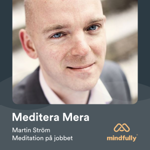 Martin Ström - Om meditation på jobbet