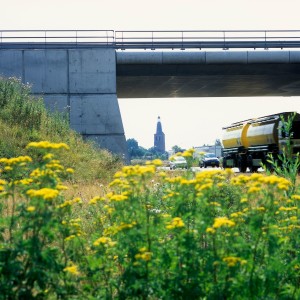 #16 De berm: natuur naast de snelweg