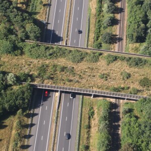 #35 Het ecoduct: een viaduct voor dieren