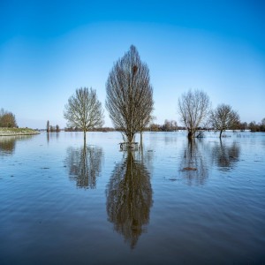 #24 Een grote vreselijke vloed: de Sint Elisabethsvloed