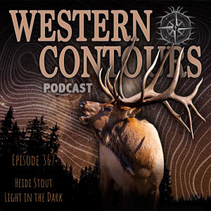 Heidi Stout: Light in the Dark