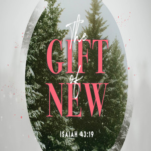 The Gift of New