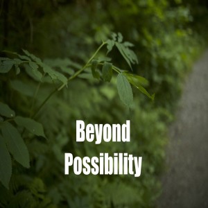 Beyond Possibility