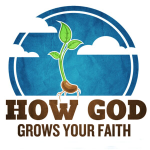 How God Grows Your Faith:- Private Disciplines