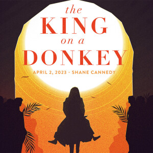 The King on a Donkey