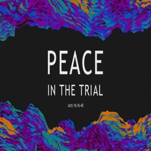 Peace in the Trial