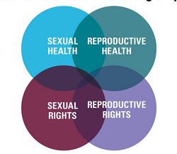 cover of episode LGBT Rights and Reproductive Justice