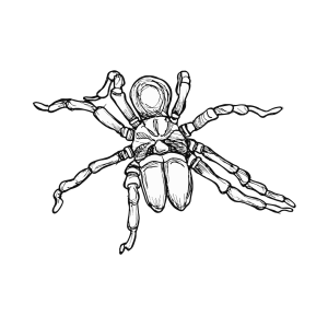 #022 The Purse Web Spider