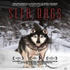Fern Levitt: Courageous Documentarian Talks about Rescuing Abused Sled Dogs & More