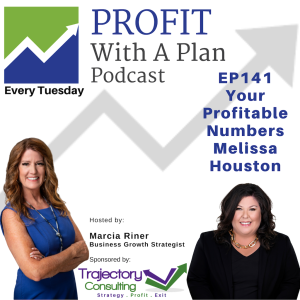 EP141 Your Profitable Numbers - Melissa Houston