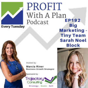 EP192 Big Marketing-Tiny Team Sarah Noel Block