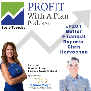 EP201 Better Financial Reports - Chris Hervochon