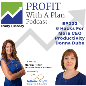 EP223 6 Hacks For More CEO Productivity - Donna Dube